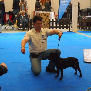 Valmont CM:  V1, CAJC