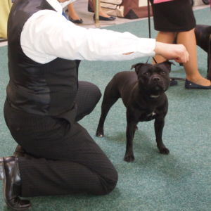 Valmont - V1, CAC, CC