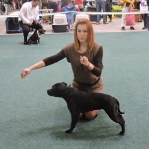 Victoria CM: V2, Res. CAC