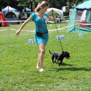 Victoria CM: V2, Res. CAC