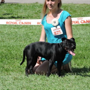 Victoria CM: V2, Res. CAC