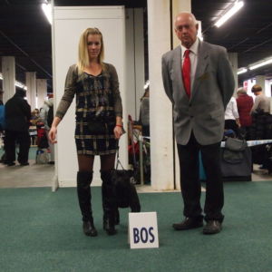 Victoria CM: V1, CAC, CACIB, BOS