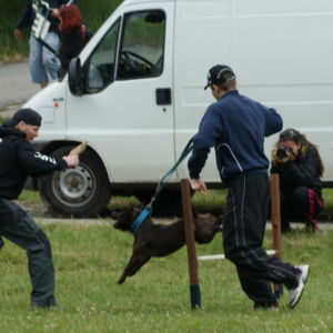 Vo dvojici to ide lepšie
