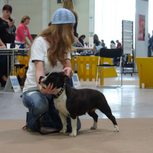 Výborná 1, CAC, CACIB