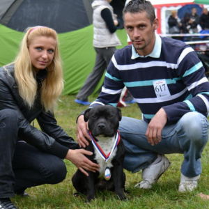 GILBERT CM: Výborný 1, CAJC