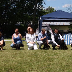 Už máme posúdené