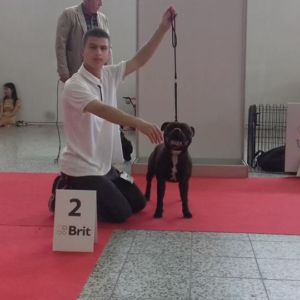 Albert II CM - V2, R.CAC