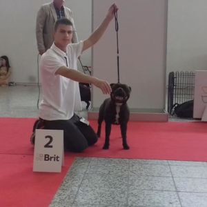 Albert II CM - V2, R.CAC