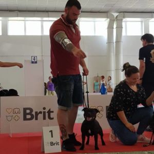 Cloe CM - V1 CAC, R.CACIB