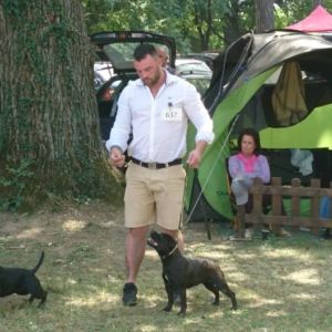 Cloe CM: V1, CAC, CACIB, BOS