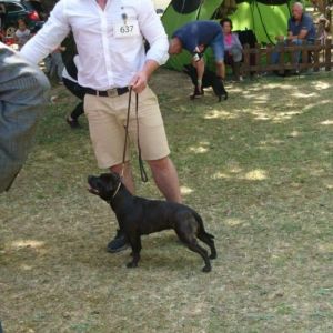 Cloe CM: V1, CAC, CACIB, BOS