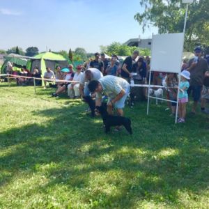 Caesar CM: V2, Res. CAC