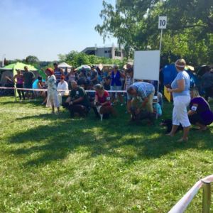 Danthe CM: V2, Res. CAC