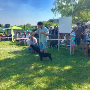 Caesar CM: V2, Res. CAC