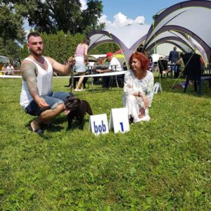 Cloe CM V1, CAC z 4, CACIB, BOB