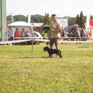 Caesar CM: V2, Res. CAC