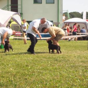 Caesar CM: V2, Res. CAC