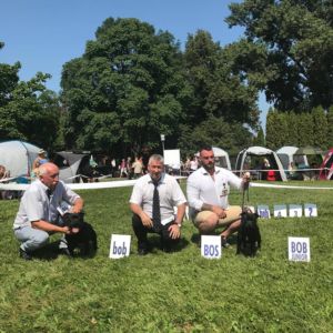 Cloe CM: V1, CAC, CACIB, BOS.