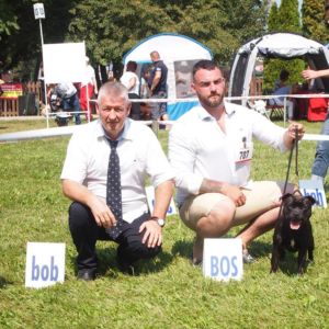 Cloe CM: V1, CAC, CACIB, BOS.