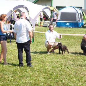 Cloe CM: V1, CAC, CACIB, BOS.