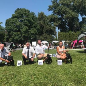 Cloe CM: V1, CAC, CACIB, BOS.