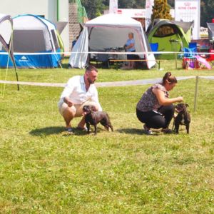 Cloe CM: V1, CAC, CACIB, BOS.