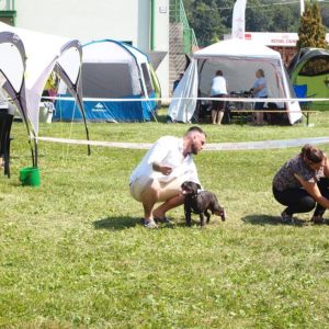 Cloe CM: V1, CAC, CACIB, BOS.