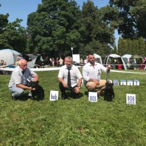 Cloe CM: V1, CAC, CACIB, BOS.