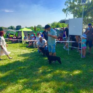 Caesar CM: V2, Res. CAC