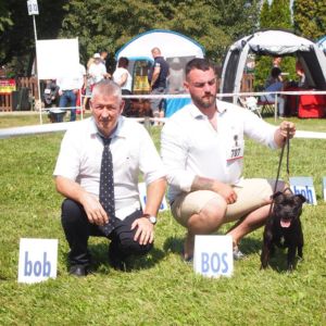 Cloe CM: V1, CAC, CACIB, BOS.