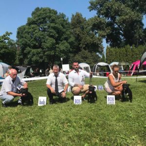 Cloe CM: V1, CAC, CACIB, BOS.