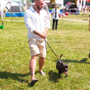 Cloe CM: V1, CAC, CACIB, BOS.