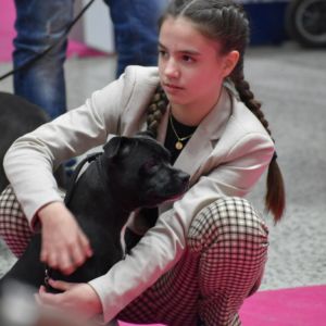 Bullkeinol Crazy magic