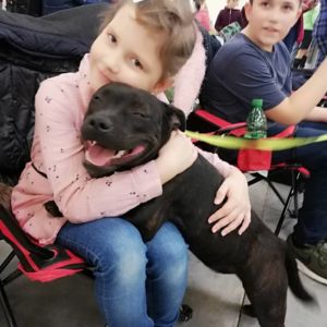 Jar Crazy magic ( Gringo Jary´s farm x Dar Crazy magic ) - trochu lásky