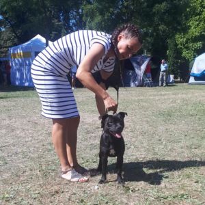 Bellissimia Mia von Rosenheim Staff ( Ch. Zieloeson Snapdragon x Ch. Rita Crazy magic )