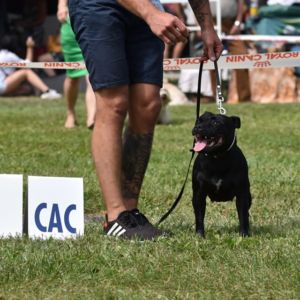 Elizabeth Crazy magic