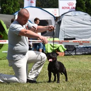 Ch. Caesar Crazy magic