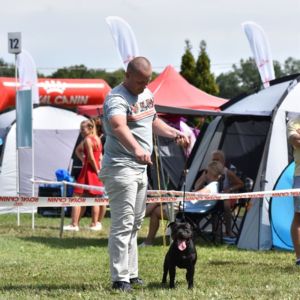 Ch. Caesar Crazy magic