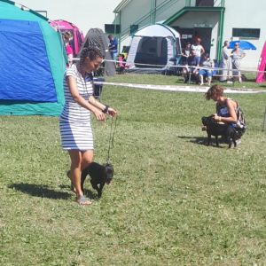 Bellissimia Mia von Rosenheim Staff ( Ch. Zieloeson Snapdragon x Ch. Rita Crazy magic )