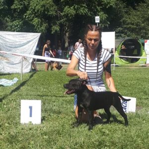 Bellissimia Mia von Rosenheim Staff ( Ch. Zieloeson Snapdragon x Ch. Rita Crazy magic )