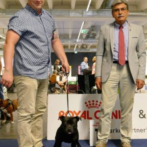 18.8.2019 Ch. Caesar CM: IHA Innsbruck 2019 - Alpensieger 🇦🇹 exc.1, CACA, CACIB, ALPENSIEGER, BOS