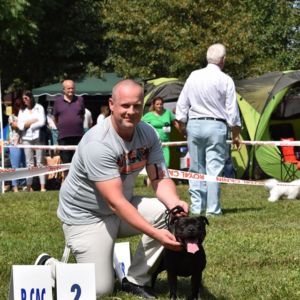 Ch. Caesar Crazy magic