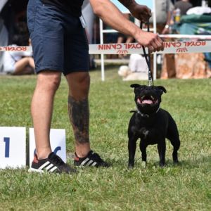 Elizabeth Crazy magic