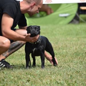 Elizabeth Crazy magic