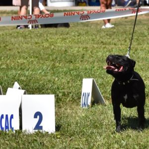 Elizabeth Crazy magic